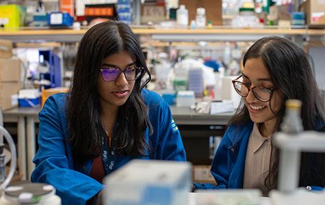 UCSF researchers Isha Mondal and Oishika Das working at a lab bench. Photo by Todd Dubnicoff.